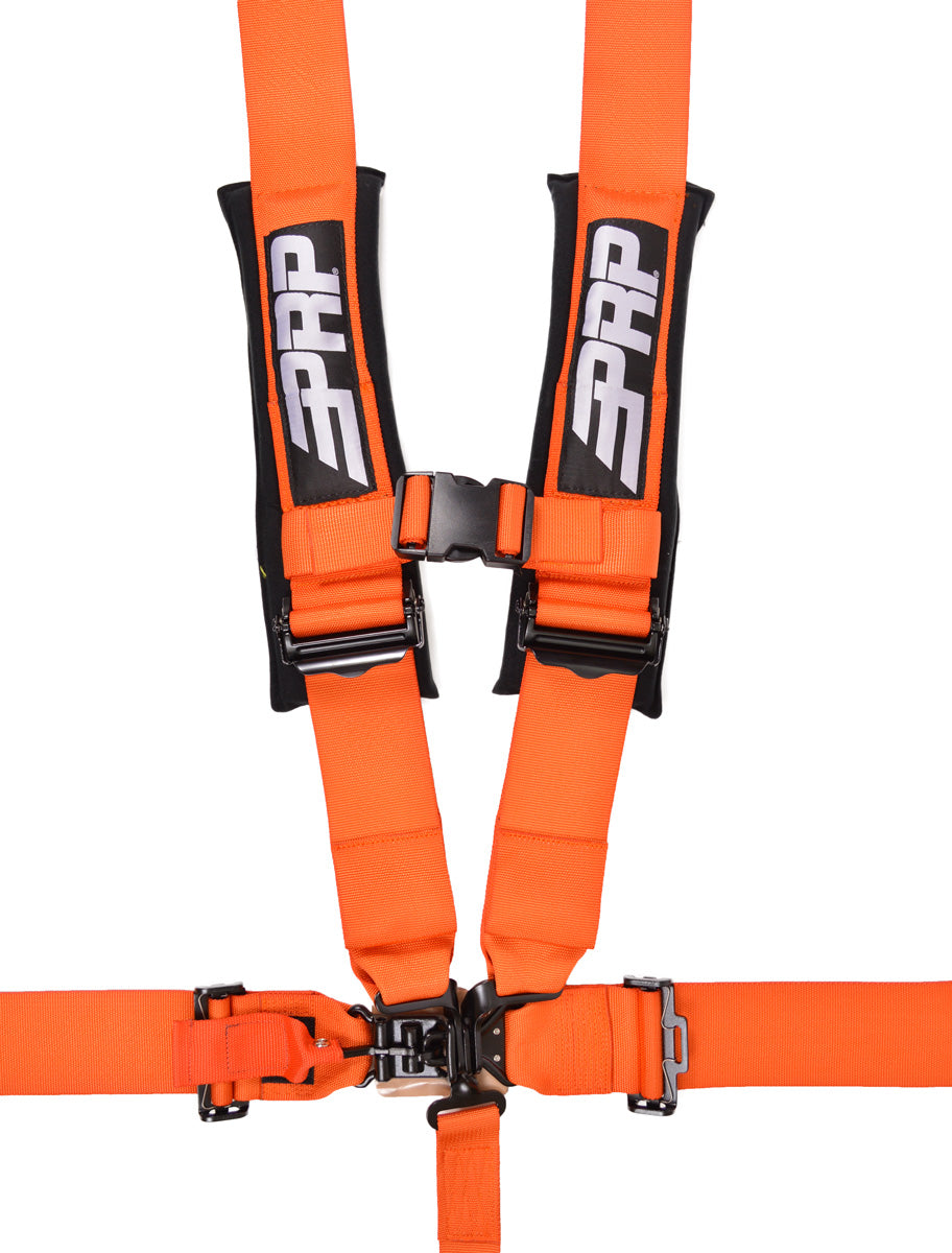 PRP 5.3 HARNESS